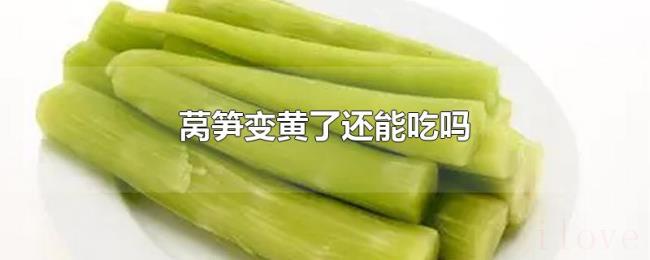 莴笋变黄了还能吃吗 莴笋变黄了还能吃吗