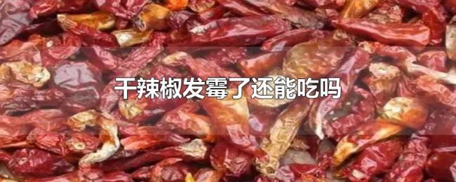 干辣椒发霉了还能吃吗 干辣椒发霉了还能吃吗