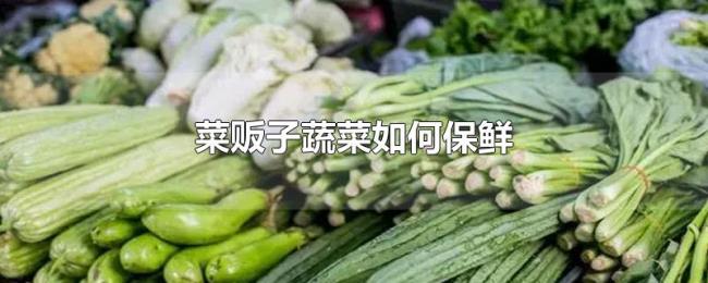 菜贩子蔬菜如何保鲜 菜贩子蔬菜如何保鲜