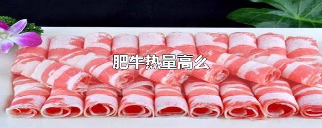 肥牛热量高么 肥牛热量高么