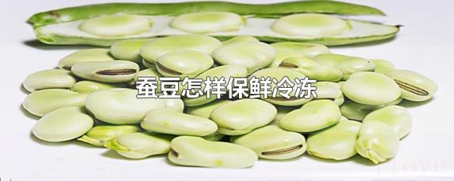 蚕豆怎样保鲜冷冻 蚕豆怎样保鲜冷冻
