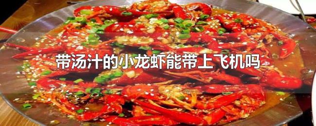 带汤汁的小龙虾能带上飞机吗 带汤汁的小龙虾能带上飞机吗