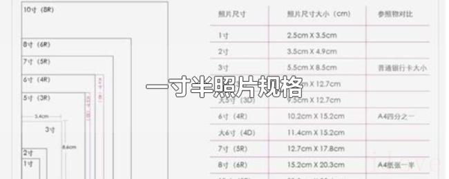 一寸半照片规格