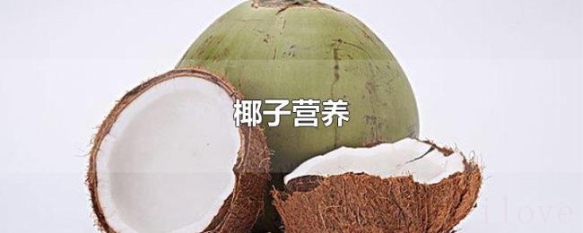 椰子营养 椰子营养