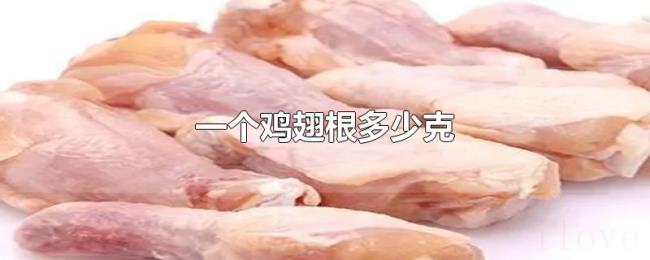 一个鸡翅根多少克 一个鸡翅根多少克