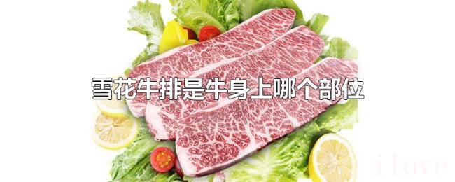 雪花牛排是牛身上哪个部位