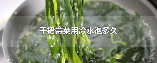干裙带菜用冷水泡多久