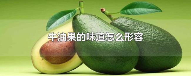牛油果的味道怎么形容