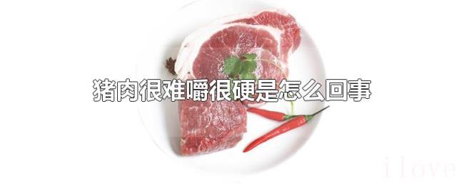 猪肉很难嚼很硬是怎么回事 猪肉很难嚼很硬是怎么回事