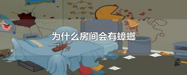 为什么房间会有蟑螂 为什么房间会有蟑螂
