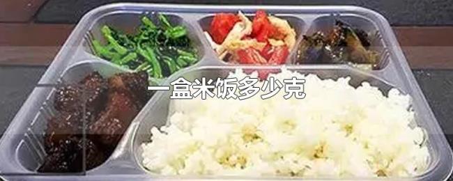 一盒米饭多少克