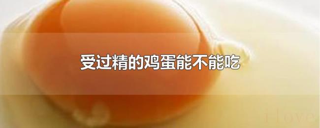受过精的鸡蛋能不能吃