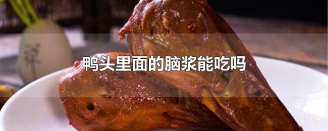 鸭头里面的脑浆能吃吗 鸭头里面的脑浆能吃吗
