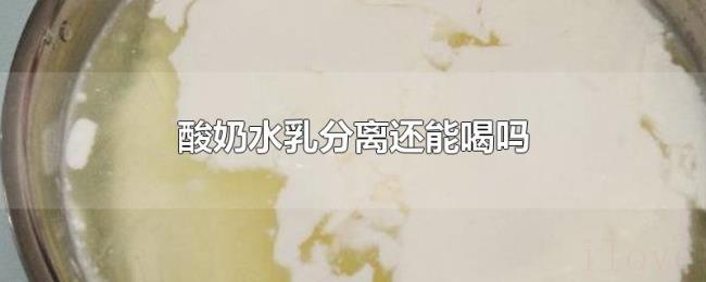 酸奶水乳分离还能喝吗 酸奶水乳分离还能喝吗