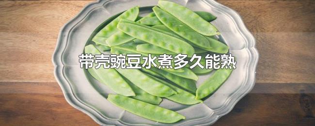 带壳豌豆水煮多久能熟