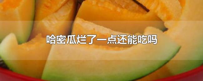 哈密瓜烂了一点还能吃吗 哈密瓜烂了一点还能吃吗