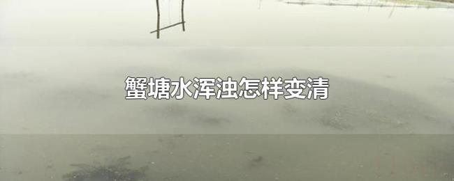蟹塘水浑浊怎样变清 蟹塘水浑浊怎样变清
