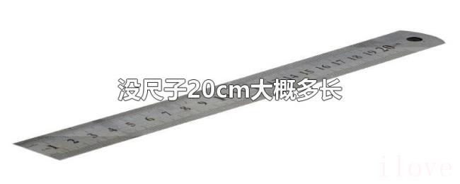 没尺子20cm大概多长