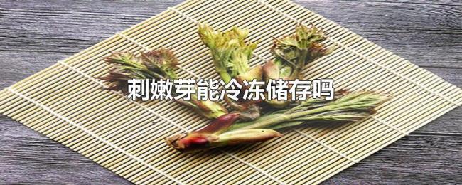 刺嫩芽能冷冻储存吗 刺嫩芽能冷冻储存吗