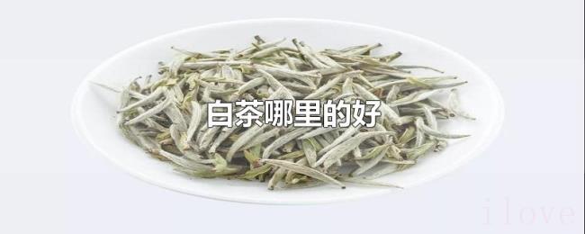 白茶哪里的好