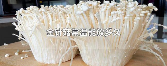 金针菇常温能放多久