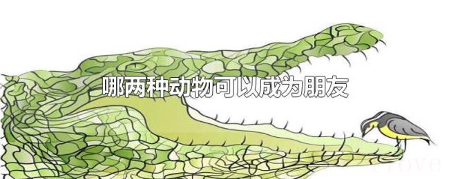 哪两种动物可以成为朋友 哪两种动物可以成为朋友