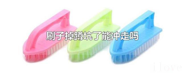 刷子掉蹲坑了能冲走吗 刷子掉蹲坑了能冲走吗