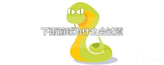 下雨前蛇为什么会过道 下雨前蛇为什么会过道