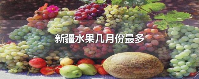 新疆水果几月份最多