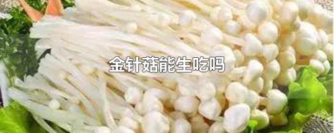 金针菇能生吃吗 金针菇能生吃吗