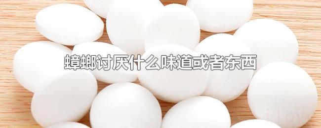 蟑螂讨厌什么味道或者东西 蟑螂讨厌什么味道或者东西