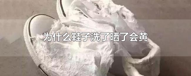 为什么鞋子洗了晒了会黄 为什么鞋子洗了晒了会黄