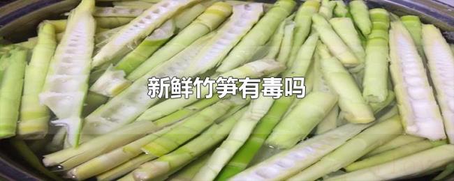 新鲜竹笋有毒吗 新鲜竹笋有毒吗