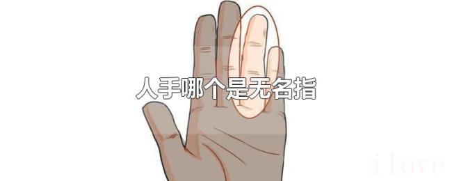 人手哪个是无名指