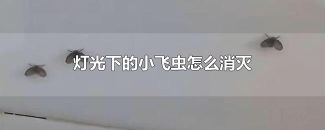灯光下的小飞虫怎么消灭