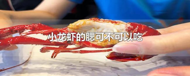 小龙虾的腮可不可以吃 小龙虾的腮可不可以吃