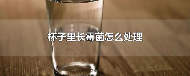 杯子里长霉菌怎么处理