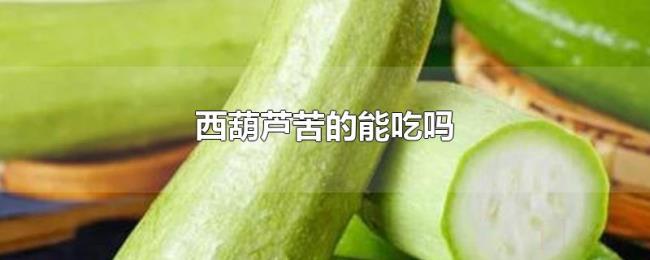 西葫芦苦的能吃吗 西葫芦苦的能吃吗