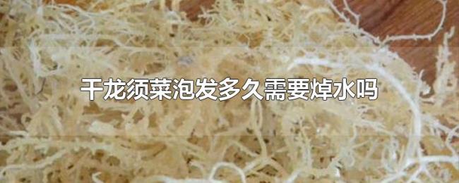 干龙须菜泡发多久需要焯水吗