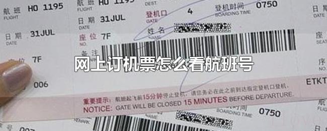 网上订机票怎么看航班号