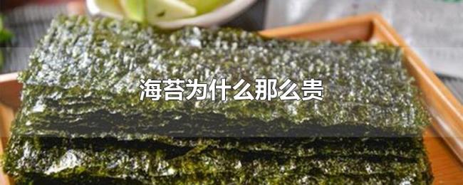 海苔为什么那么贵 海苔为什么那么贵