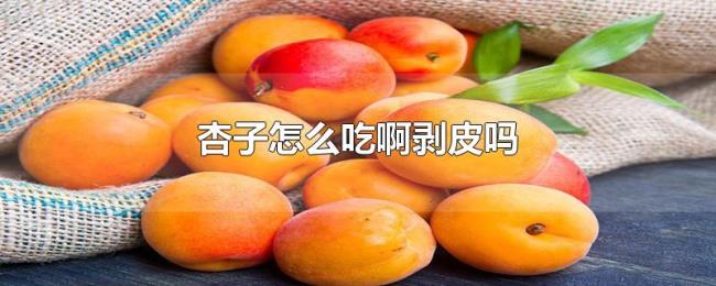 杏子怎么吃啊剥皮吗 杏子怎么吃啊剥皮吗