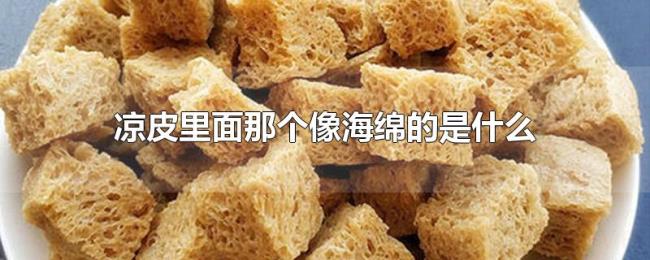凉皮里面那个像海绵的是什么 凉皮里面那个像海绵的是什么
