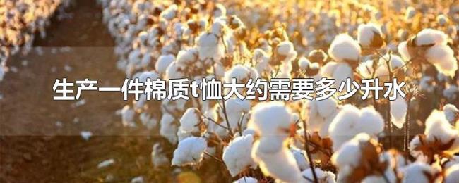 生产一件棉质t恤大约需要多少升水
