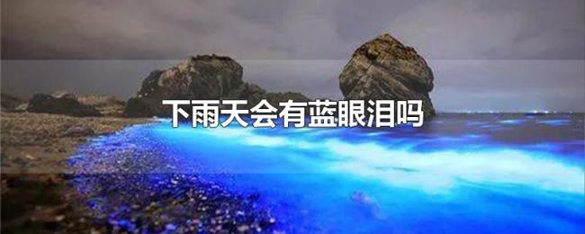 下雨天会有蓝眼泪吗