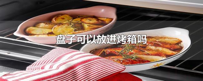 盘子可以放进烤箱吗 盘子可以放进烤箱吗
