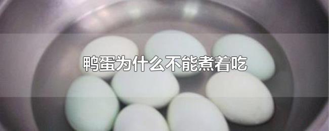 鸭蛋为什么不能煮着吃