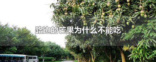 路边的芒果为什么不能吃 路边的芒果为什么不能吃