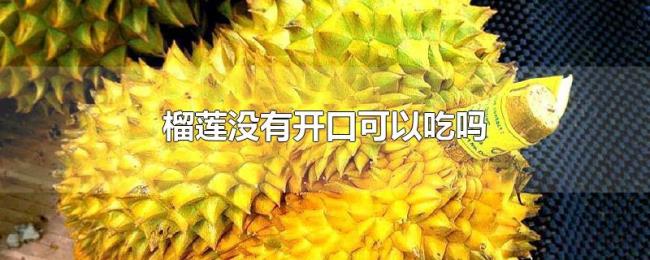 榴莲没有开口可以吃吗 榴莲没有开口可以吃吗