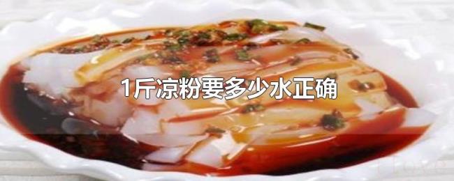 1斤凉粉要多少水正确